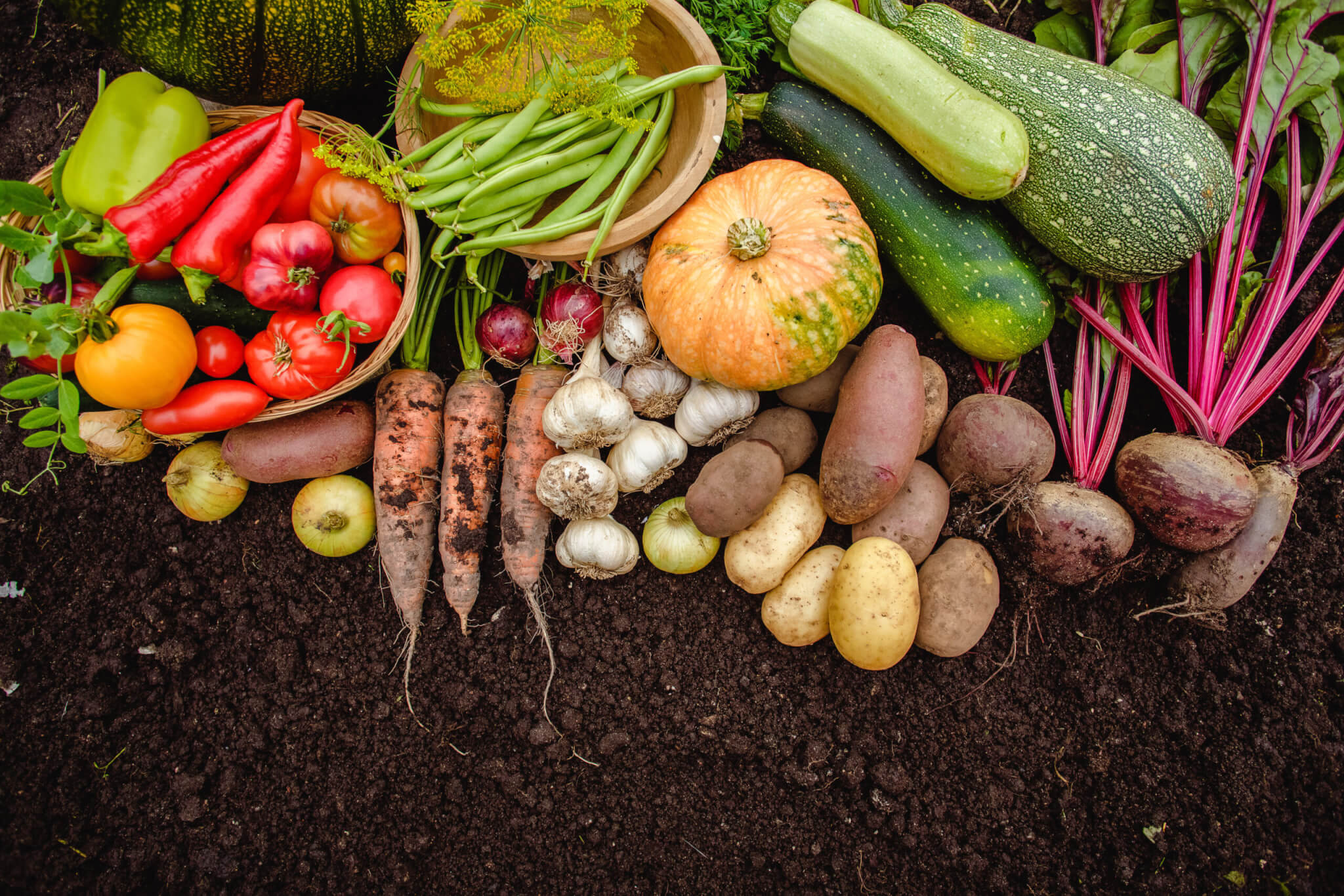 Verschiedenes Gemüse wie Kartoffeln, Möhren, Rüben, Paprika, Tomaten, Gurken, Bohnen, Kürbis, Zwiebeln und Knoblauch auf dem Boden